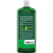 Logona Pflege Shampoo Brennessel, 500 ml