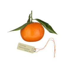 Florascent Aroma Spray Mandarine, 15 ml