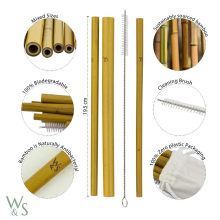 Bambus Trinkhalme, wiederverwendbar, 10er Pack
